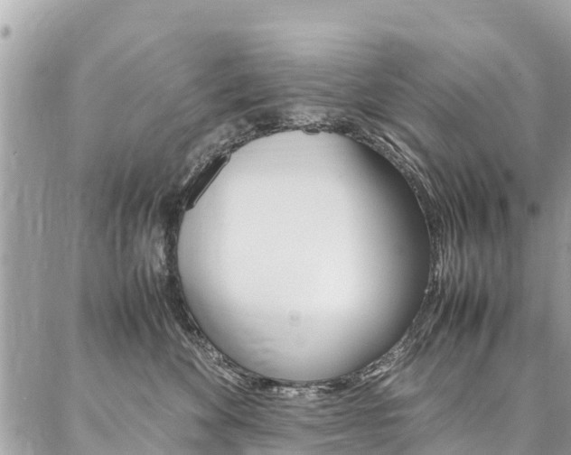 X0000086890524200704161009