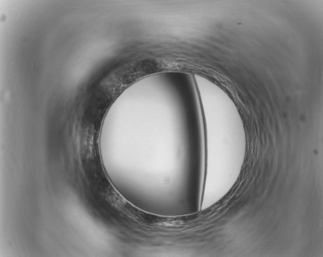 X0000086890525200704161009