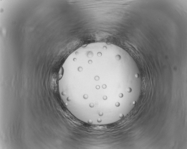 X0000086890527200704161009