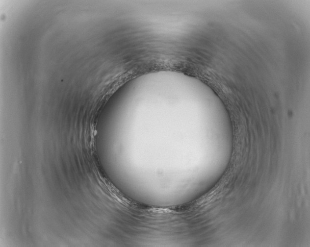 X0000086890528200704161009