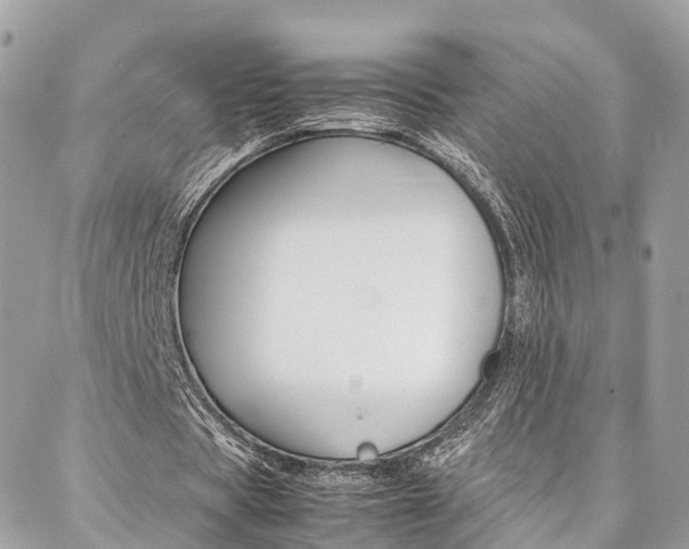 X0000086890529200704161008