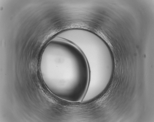 X0000086890530200704161008