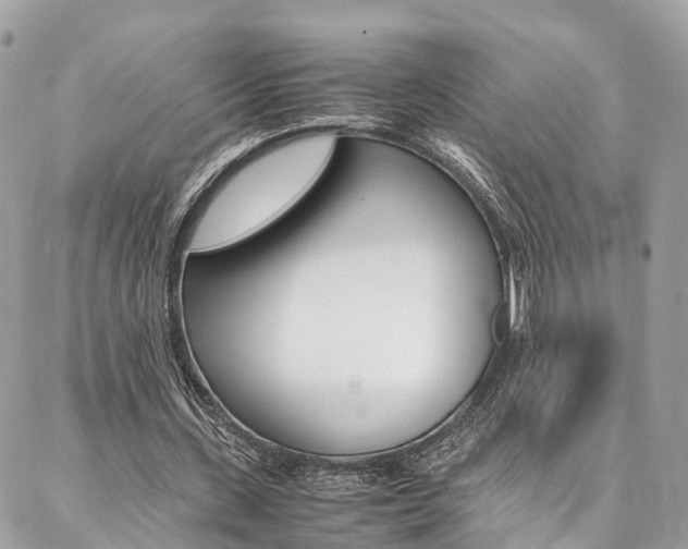 X0000086890531200704161008