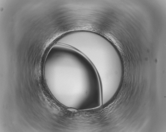 X0000086890532200704161008