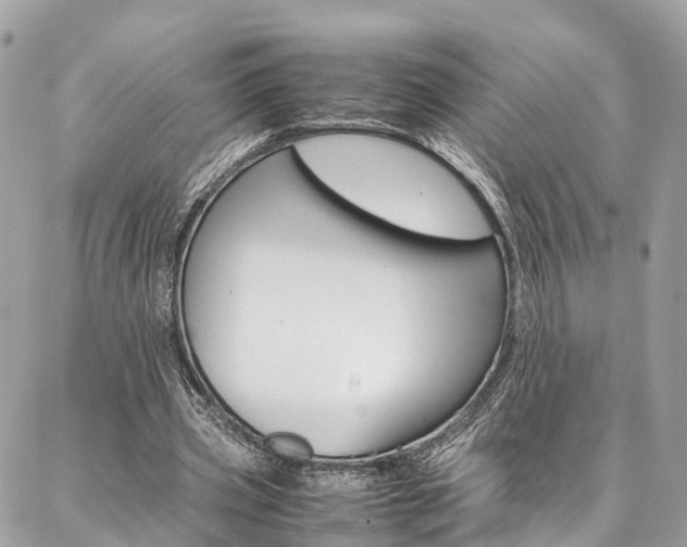 X0000086890533200704161008