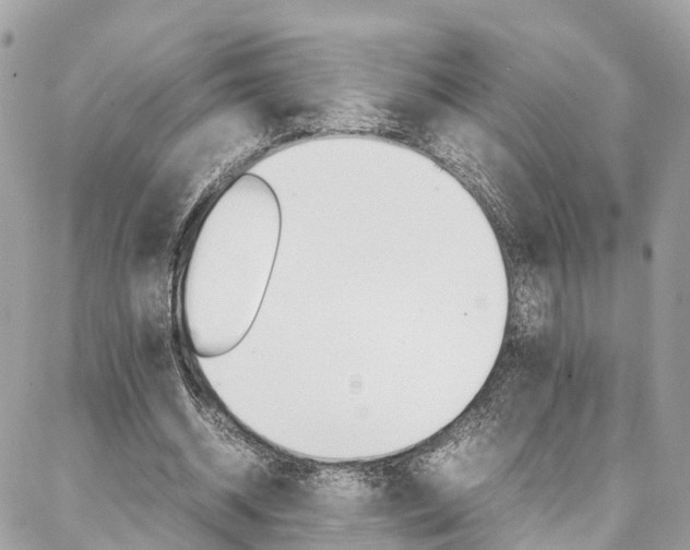 X0000086890534200704161008