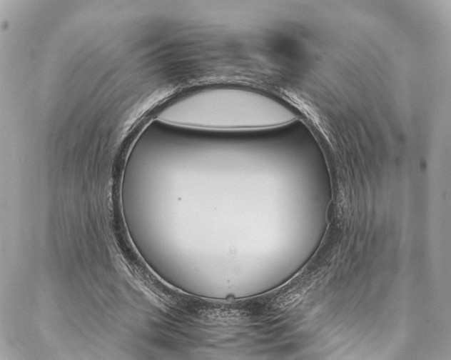 X0000086890535200704161008