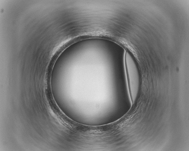 X0000086890536200704161008