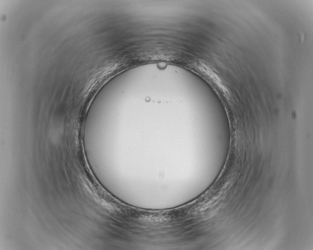 X0000086890537200704161008