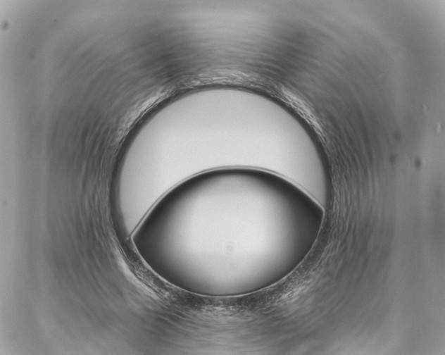 X0000086890538200704161008