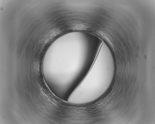 X0000086890539200704161008