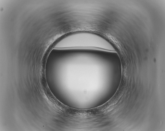 X0000086890540200704161008