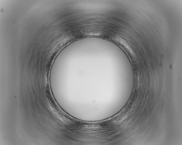 X0000086890541200704161008