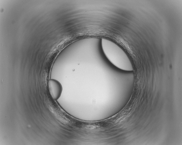 X0000086890542200704161008