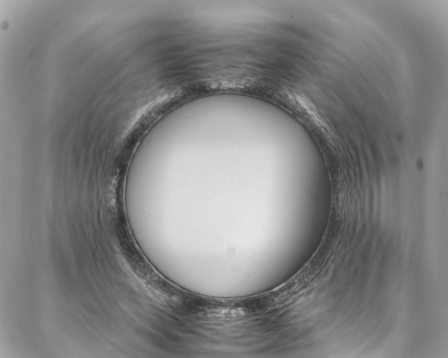 X0000086890543200704161008