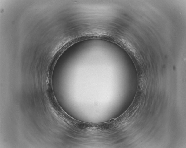 X0000086890544200704161008