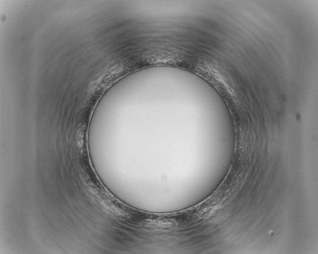 X0000086890545200704161008