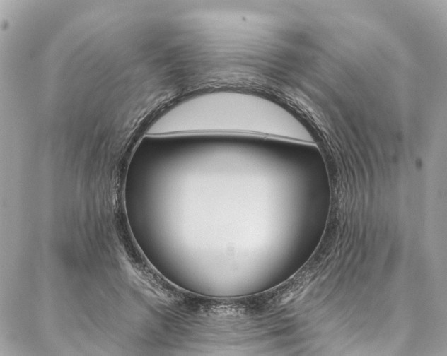 X0000086890546200704161008