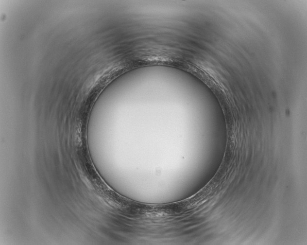 X0000086890547200704161008