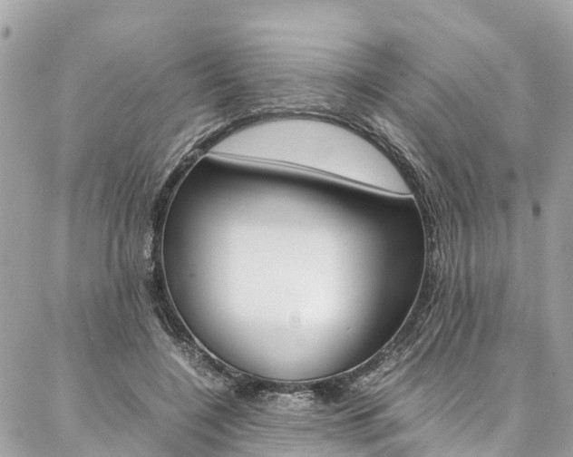 X0000086890548200704161008