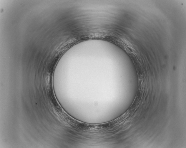 X0000086890550200704161008