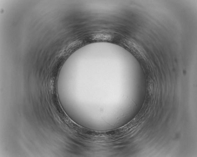 X0000086890551200704161008