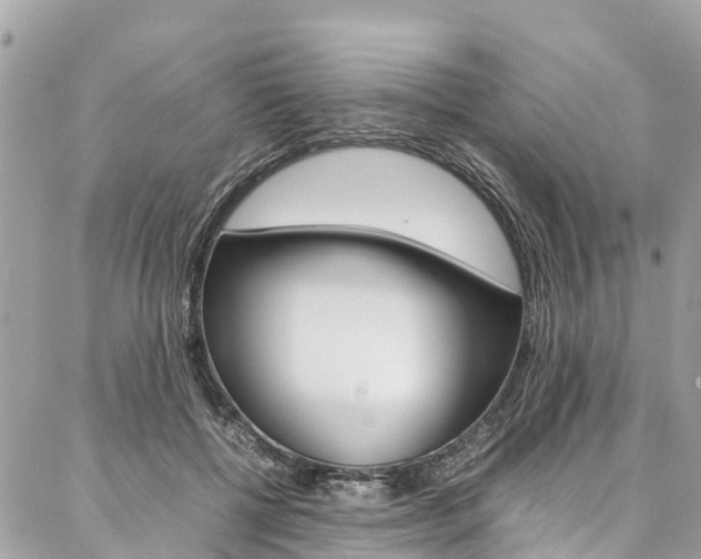 X0000086890552200704161008