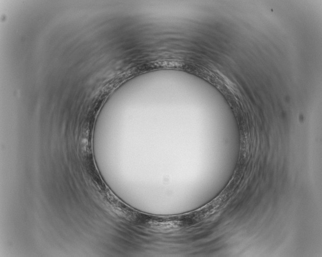 X0000086890553200704161008