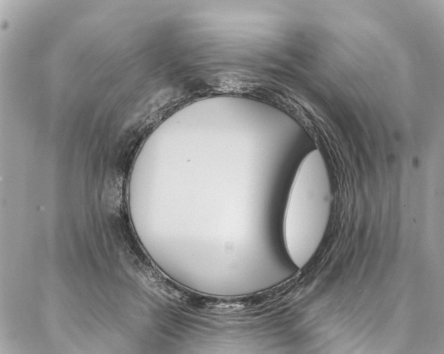 X0000086890554200704161008