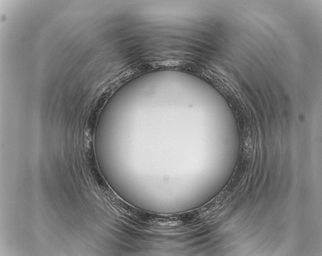 X0000086890555200704161008