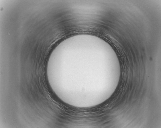 X0000086890556200704161008