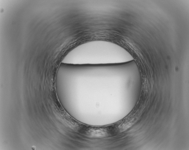 X0000086890557200704161008