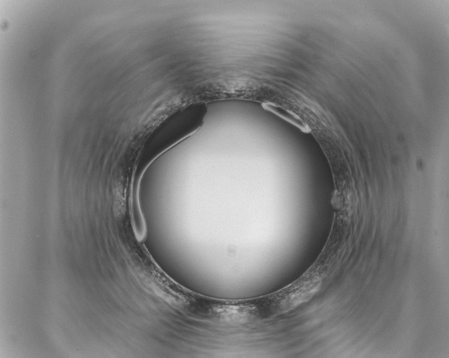 X0000086890558200704161008