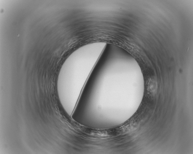 X0000086890559200704161008