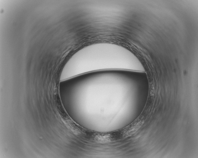 X0000086890560200704161008