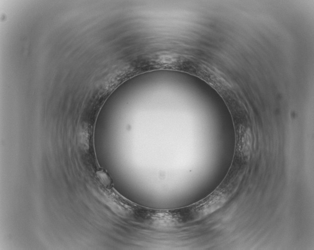 X0000086890562200704161008