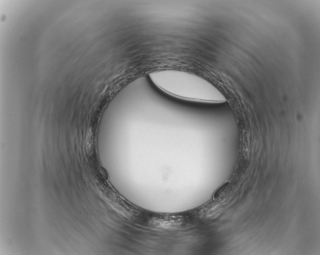 X0000086890563200704161008