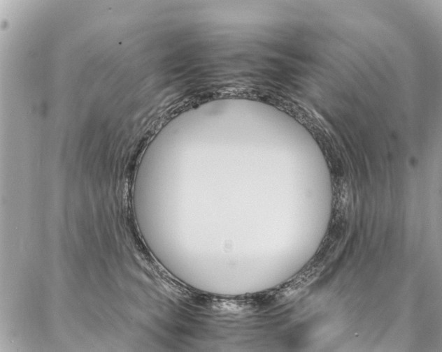 X0000086890565200704161009