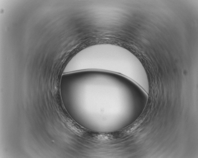 X0000086890566200704161009