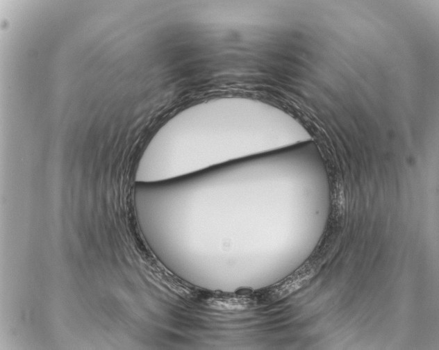 X0000086890567200704161009