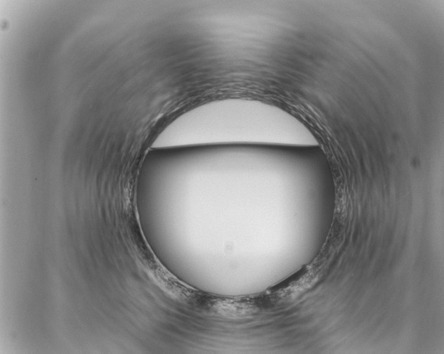 X0000086890568200704161009