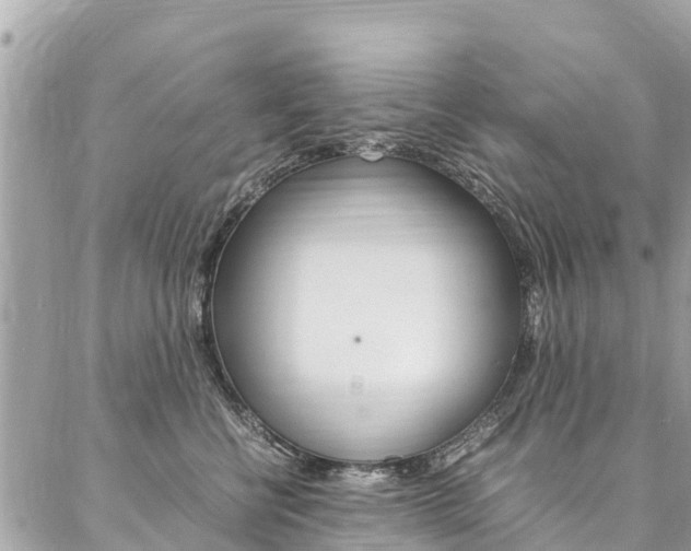 X0000086890570200704161009