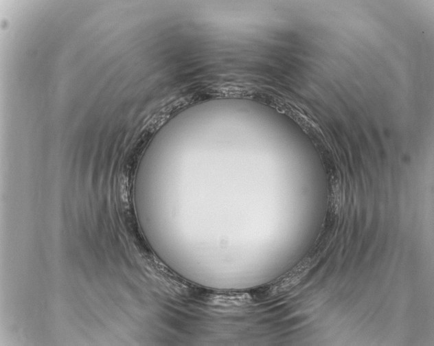 X0000086890571200704161009