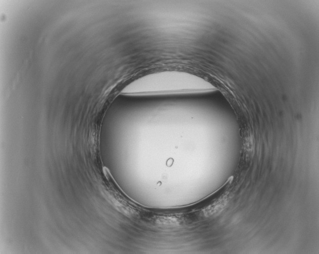 X0000086890572200704161009