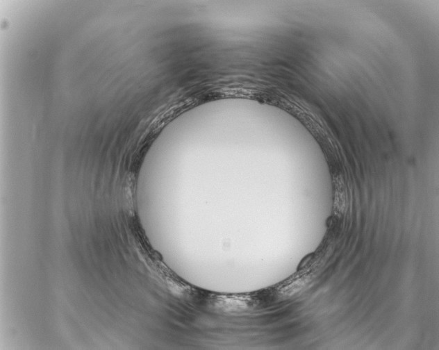 X0000086890573200704161009