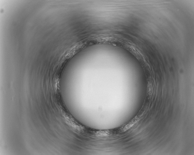 X0000086890574200704161009