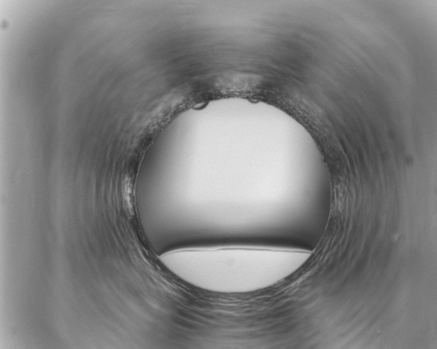 X0000086890575200704161009