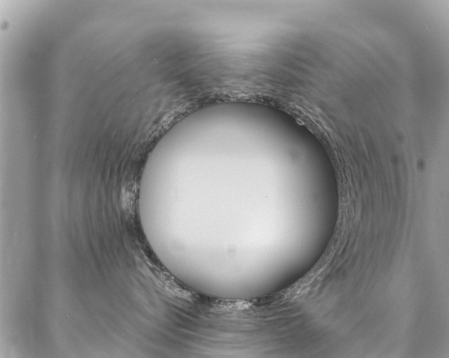 X0000086890576200704161009