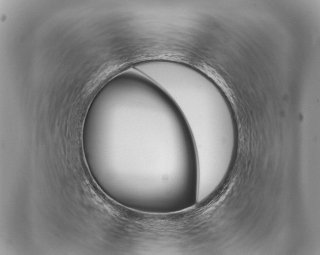 X0000086890577200704161008