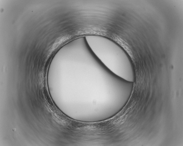 X0000086890578200704161008